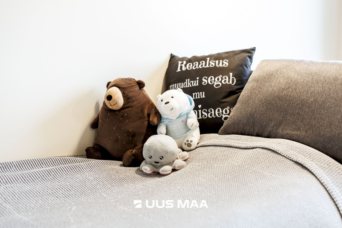 Saue vald, Laagri alevik, Kaselaane põik 8/2