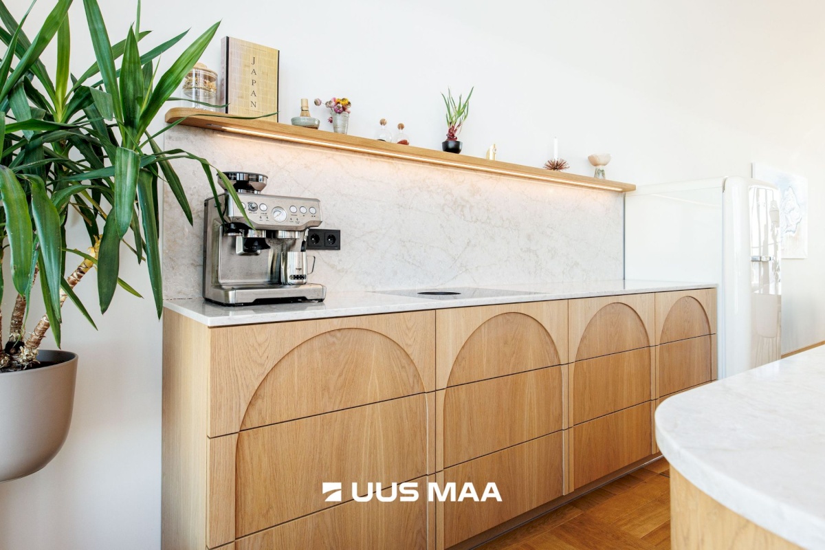 Tallinn, Põhja-Tallinna linnaosa, Ankru 8