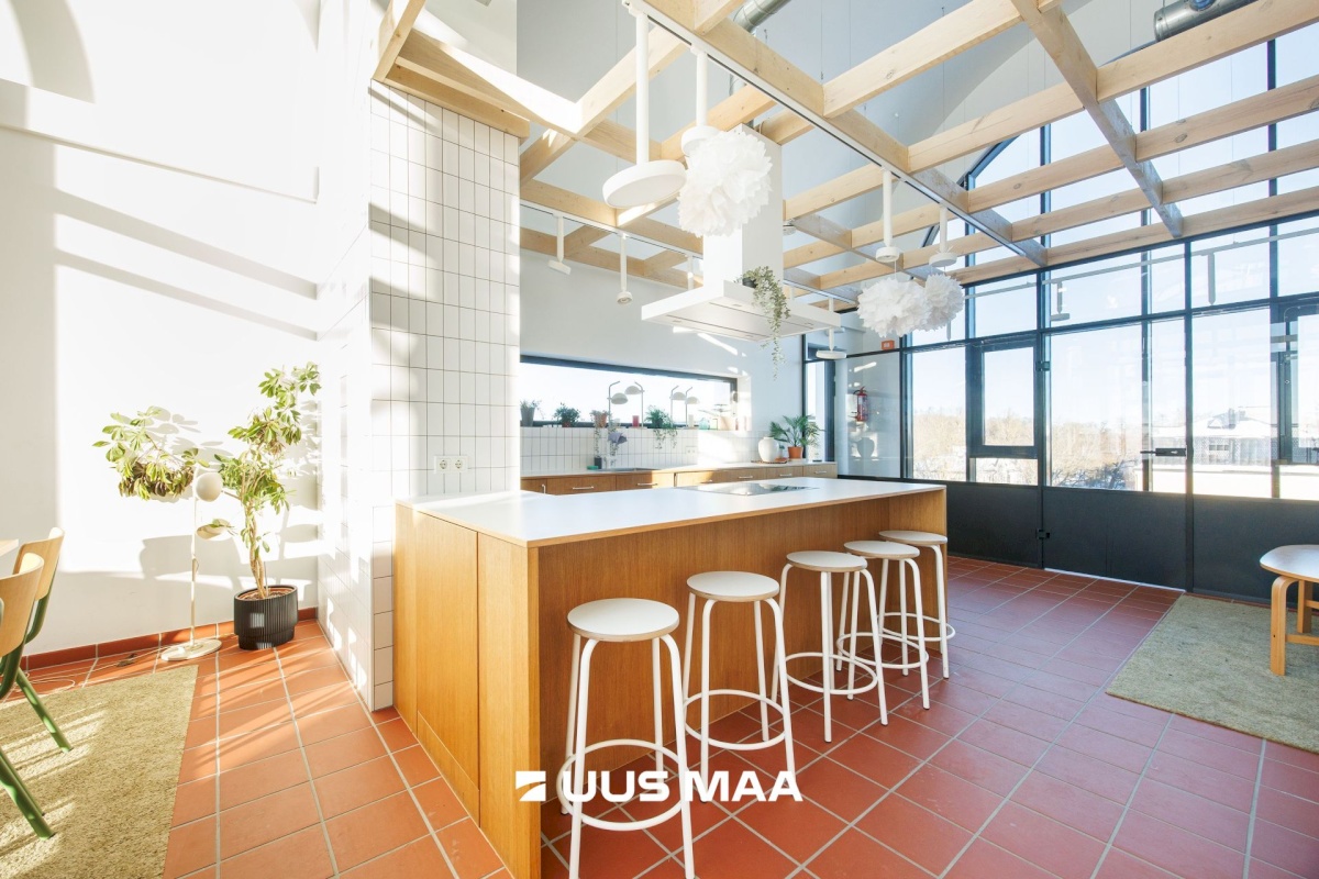 Tallinn, Põhja-Tallinna linnaosa, Ankru 8