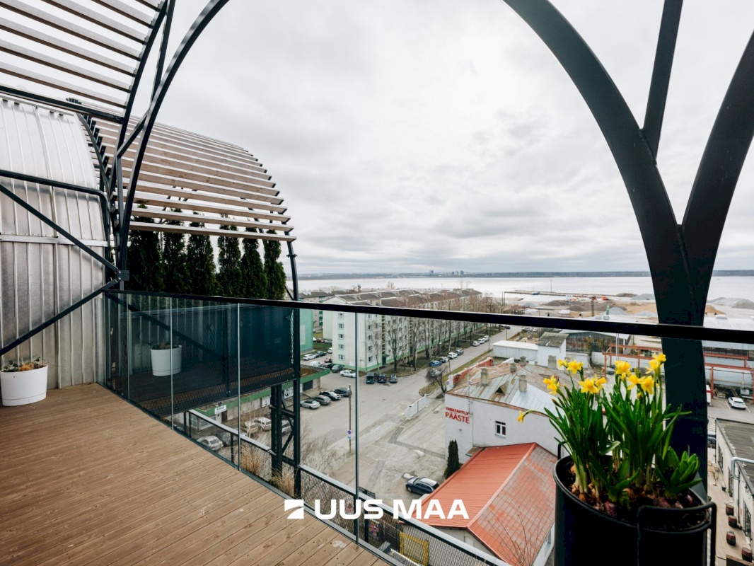 Tallinn, Põhja-Tallinna linnaosa, Ankru 8