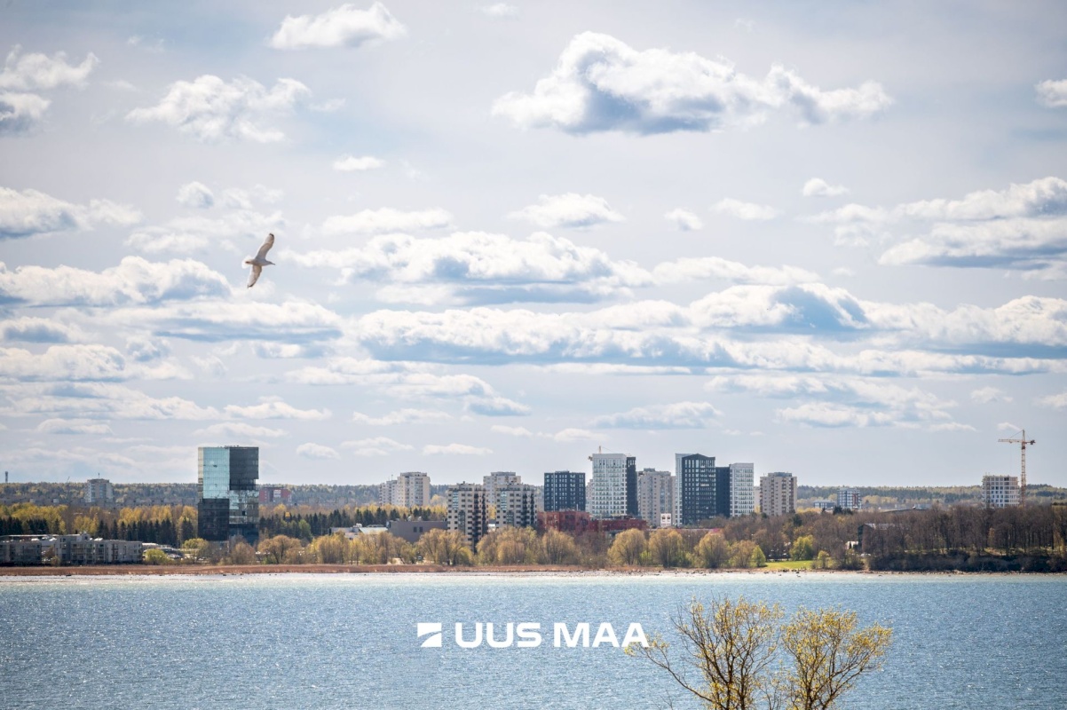 Tallinn, Põhja-Tallinna linnaosa, Ankru 8