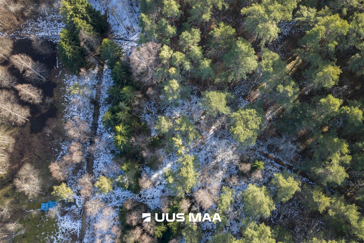 Tallinn, Pirita linnaosa, Kloostrimetsa, Sompa tee 21