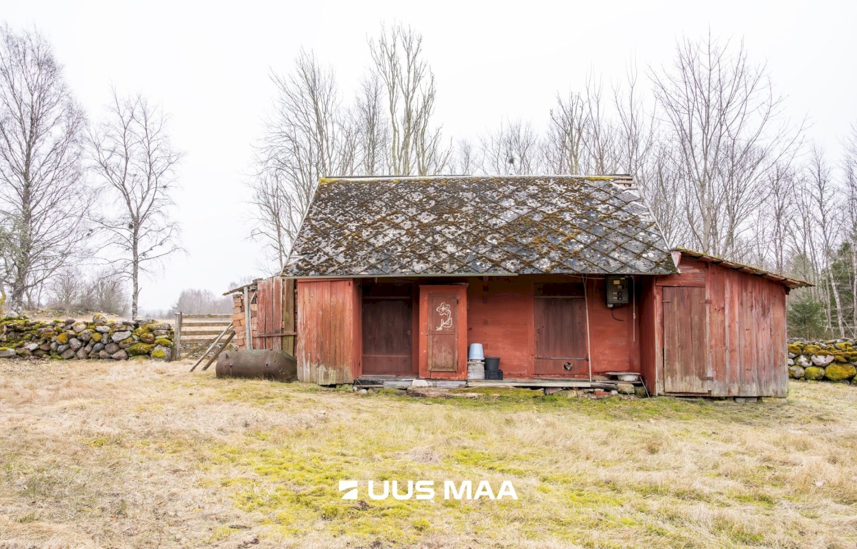 Saaremaa vald, Vedruka küla, Jaagu