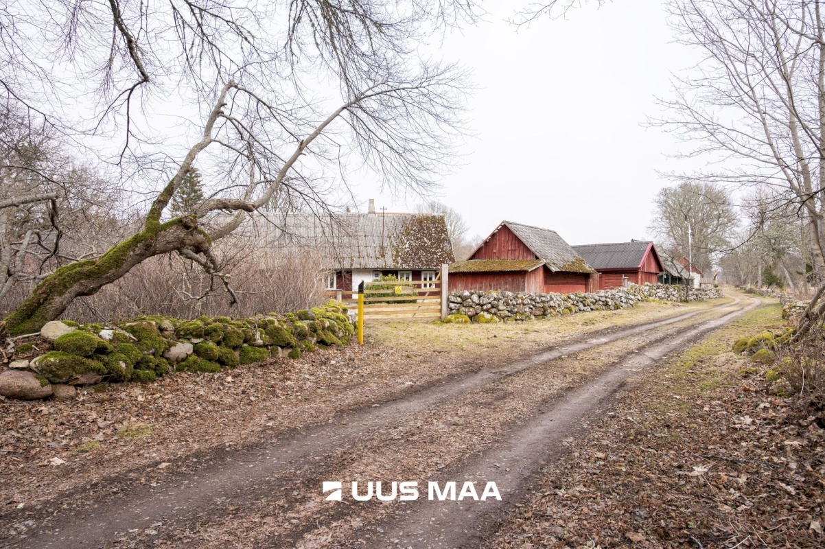 Saaremaa vald, Vedruka küla, Jaagu