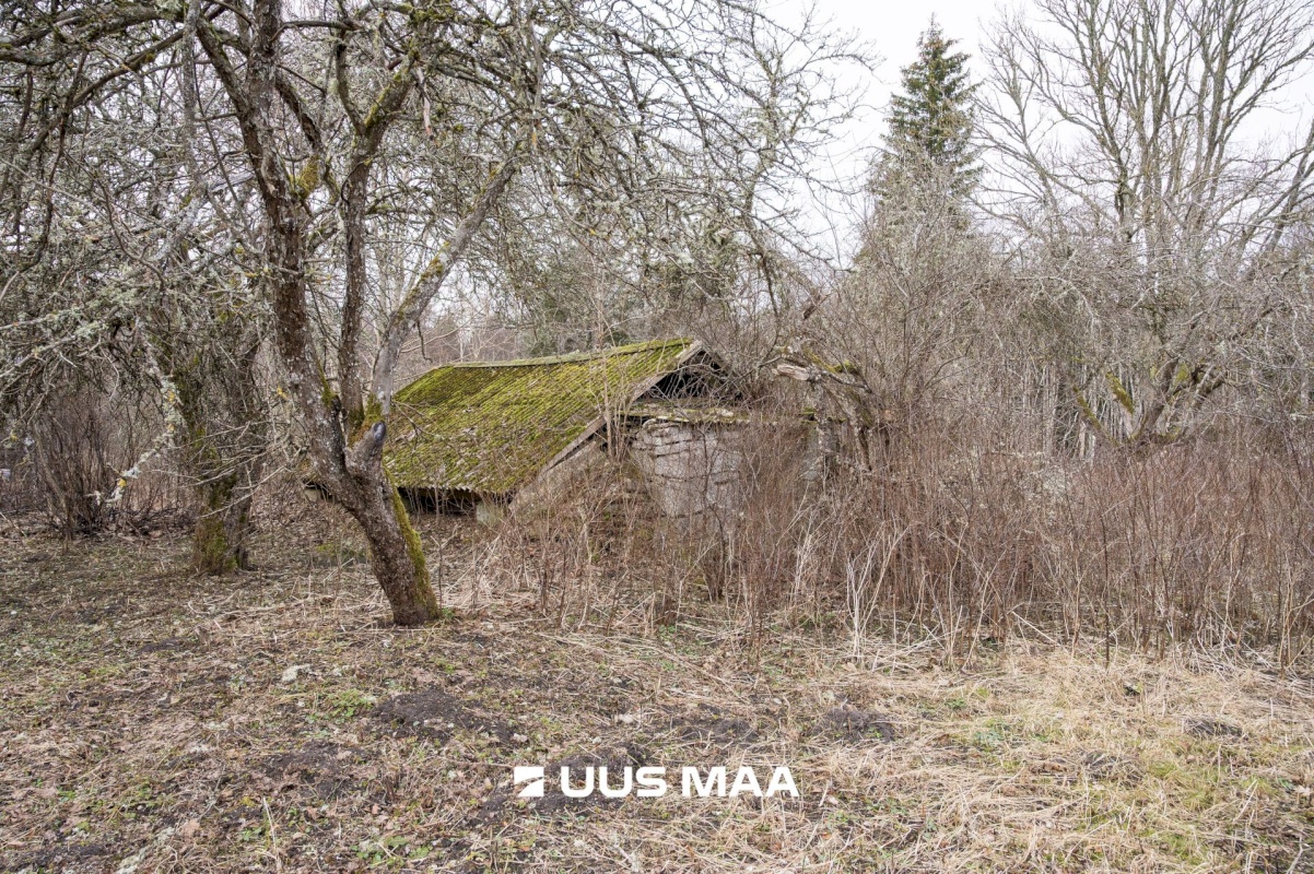 Saaremaa vald, Vedruka küla, Jaagu