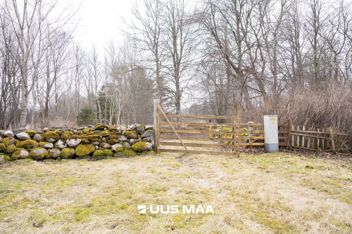 Saaremaa vald, Vedruka küla, Jaagu