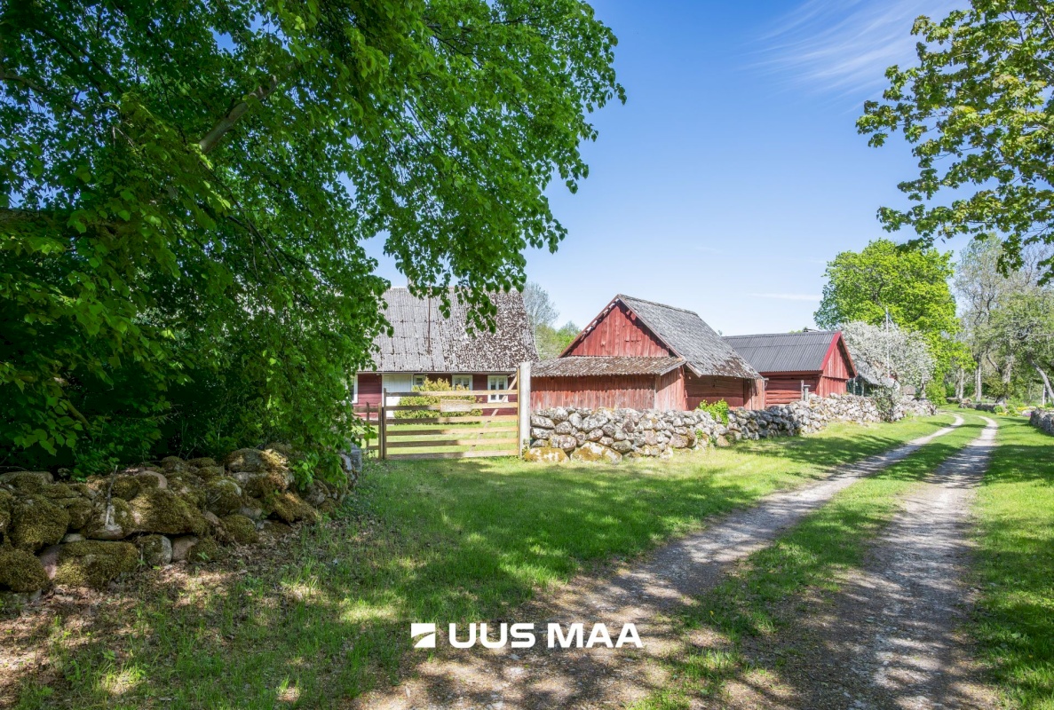 Saaremaa vald, Vedruka küla, Jaagu