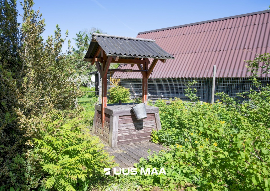 Saaremaa vald, Vedruka küla, Jaagu