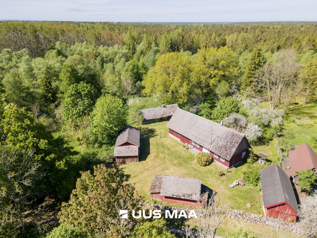 Saaremaa vald, Vedruka küla, Jaagu
