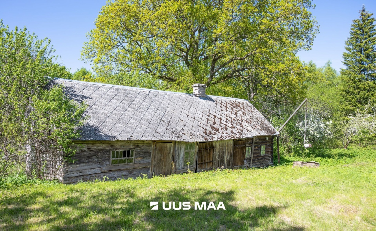 Saaremaa vald, Vedruka küla, Jaagu