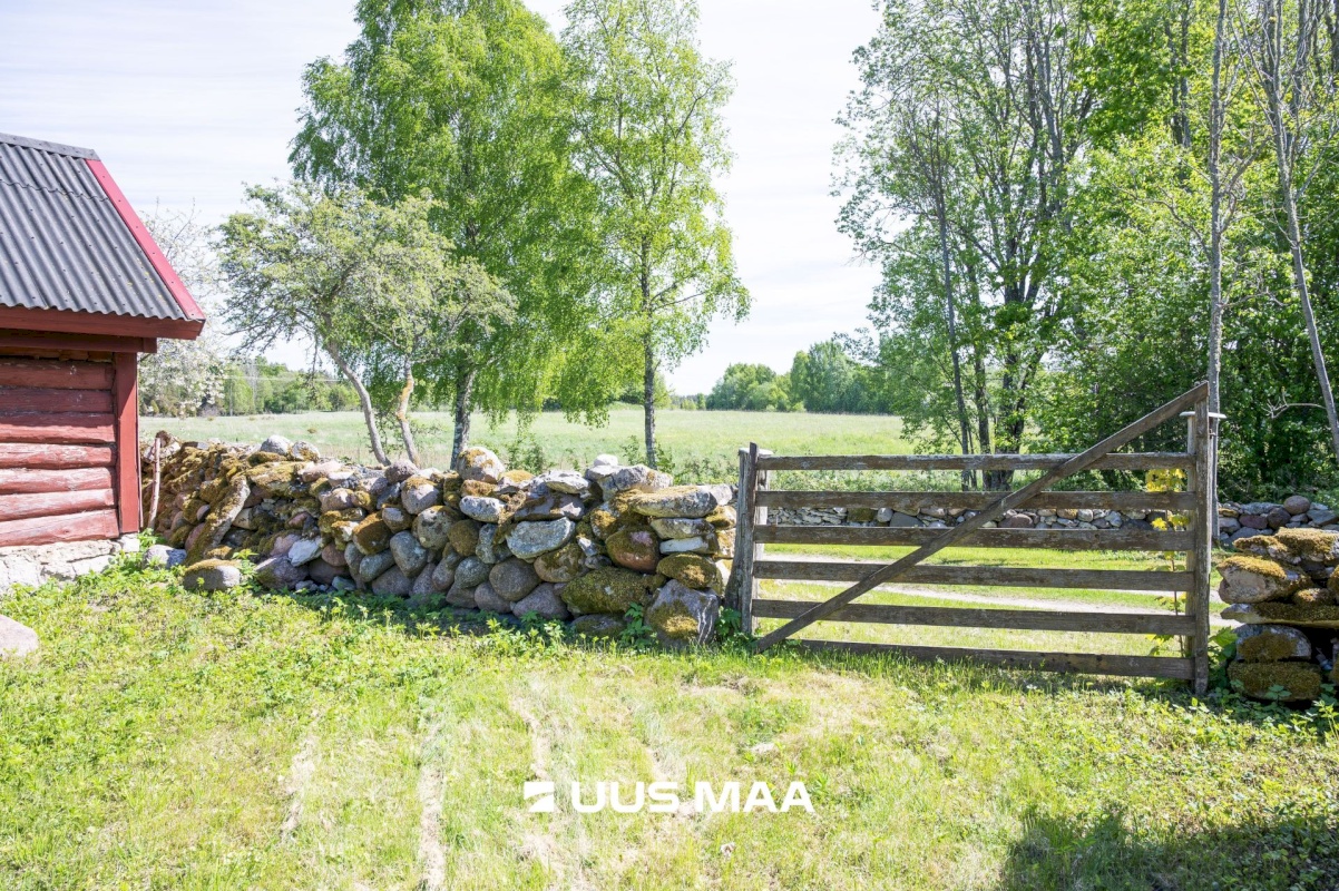 Saaremaa vald, Vedruka küla, Jaagu