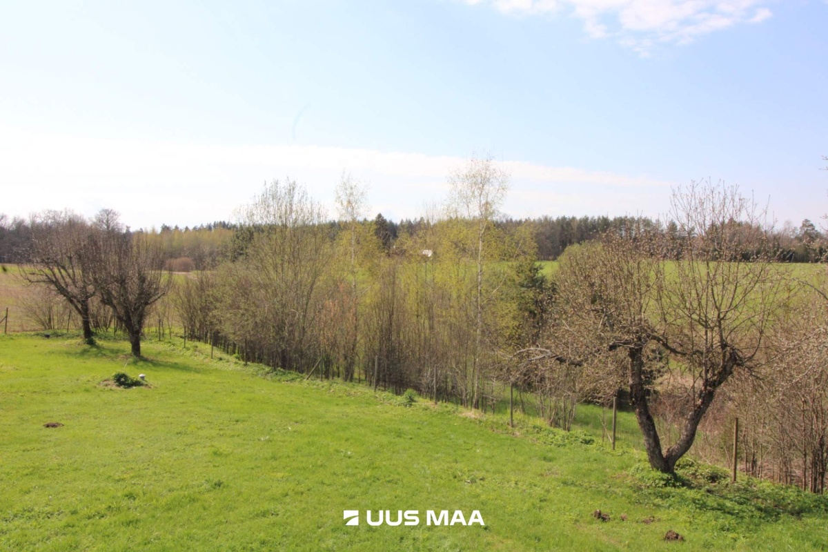 Otepää vald, Lossiküla, Koidu