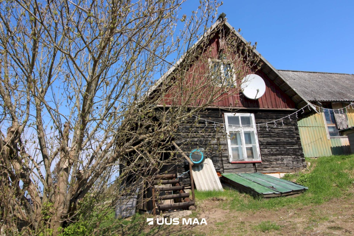 Otepää vald, Lossiküla, Koidu