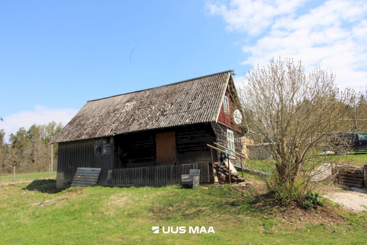 Otepää vald, Lossiküla, Koidu