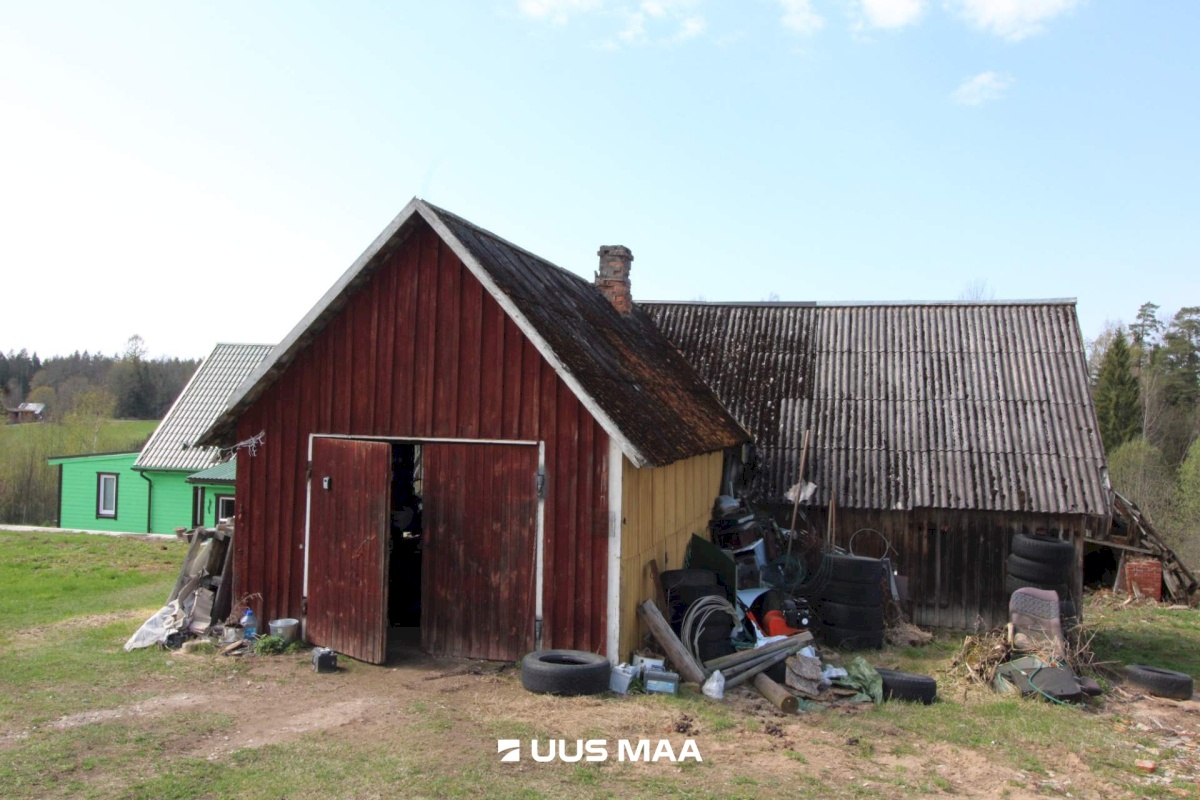 Otepää vald, Lossiküla, Koidu