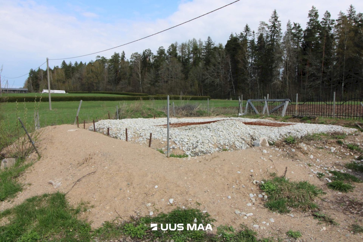 Otepää vald, Lossiküla, Koidu