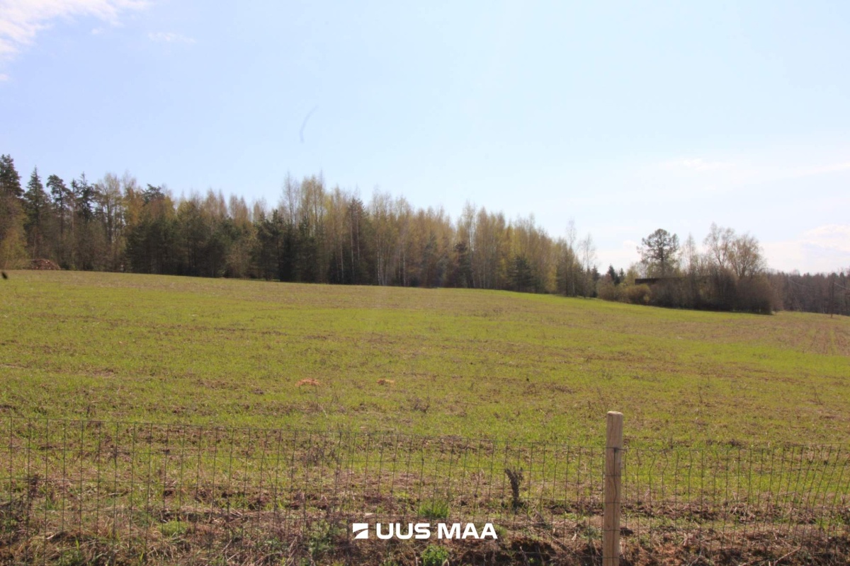 Otepää vald, Lossiküla, Koidu