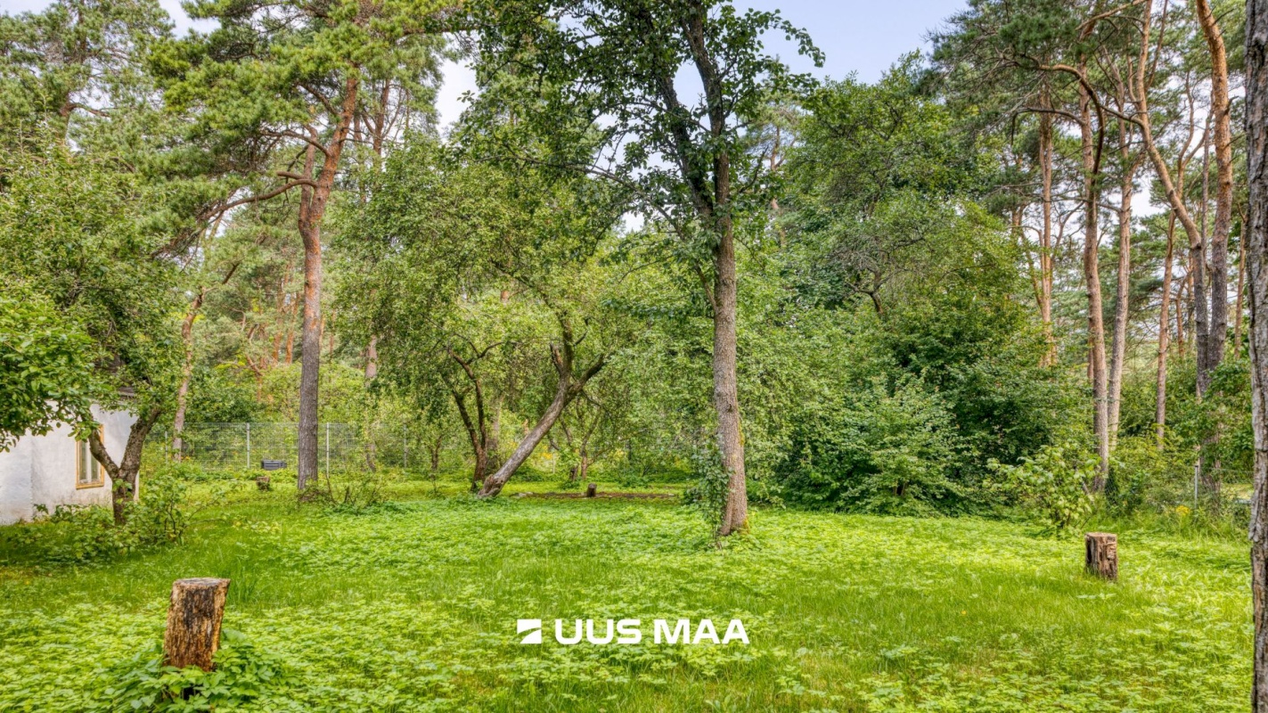 Tallinn, Nõmme linnaosa, Hiiu, Kaare 11a