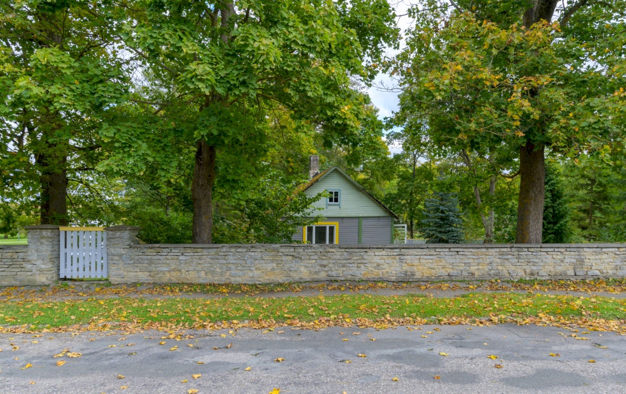 Rakvere linn, Näituse 2b