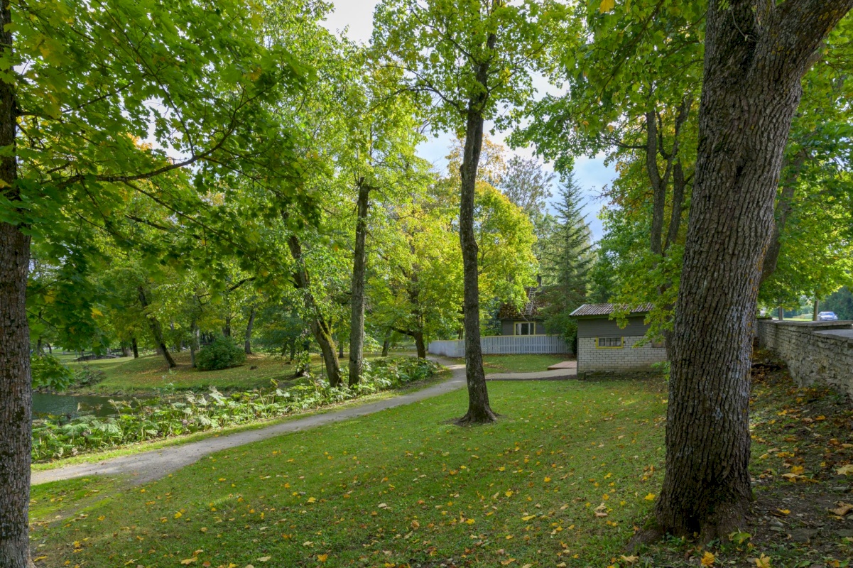 Rakvere linn, Näituse 2b