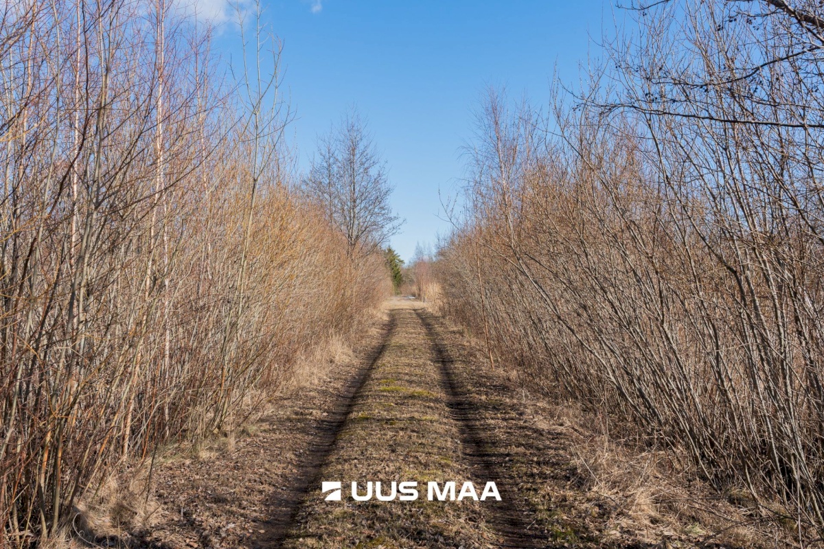 Pärnu linn, Peerni küla, Ankru