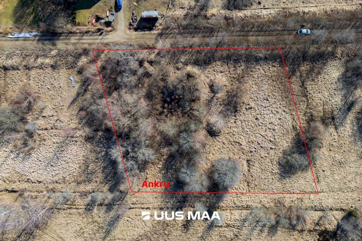 Pärnu linn, Peerni küla, Ankru