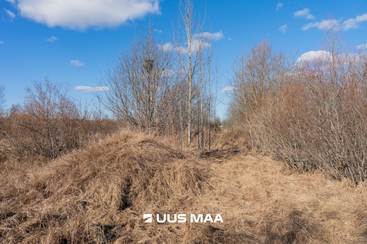 Pärnu linn, Peerni küla, Ankru