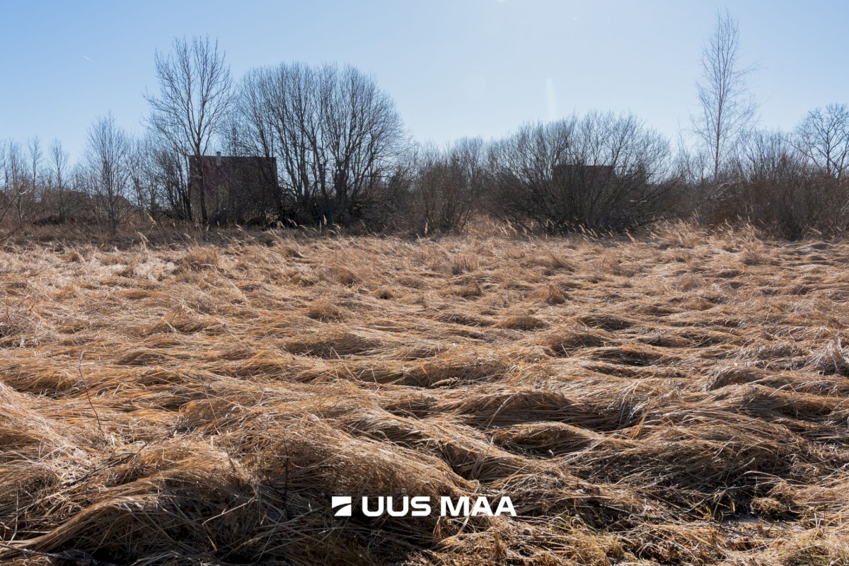 Pärnu linn, Peerni küla, Ankru