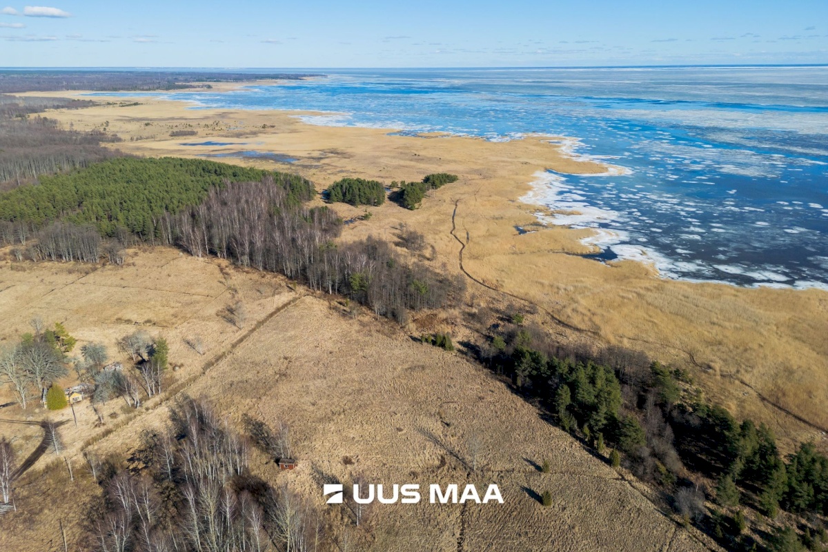 Pärnu linn, Peerni küla, Ankru