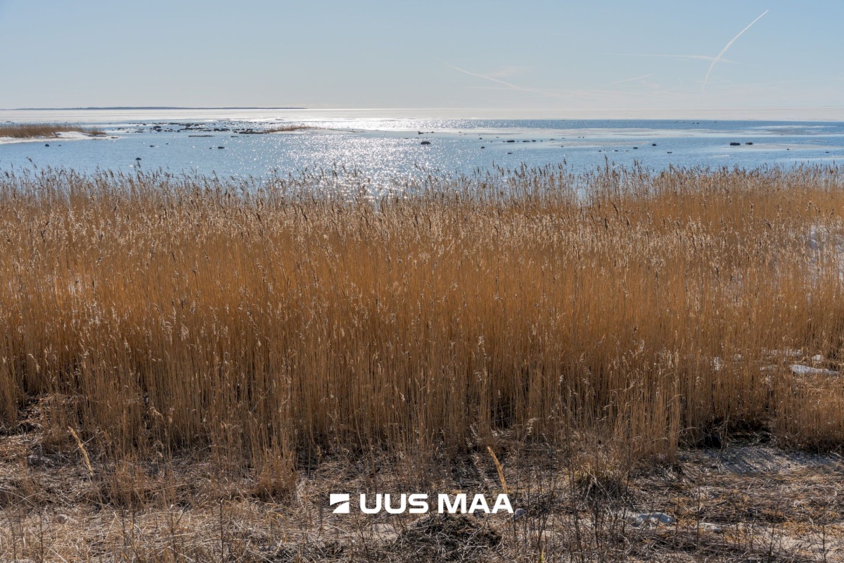 Pärnu linn, Peerni küla, Ankru