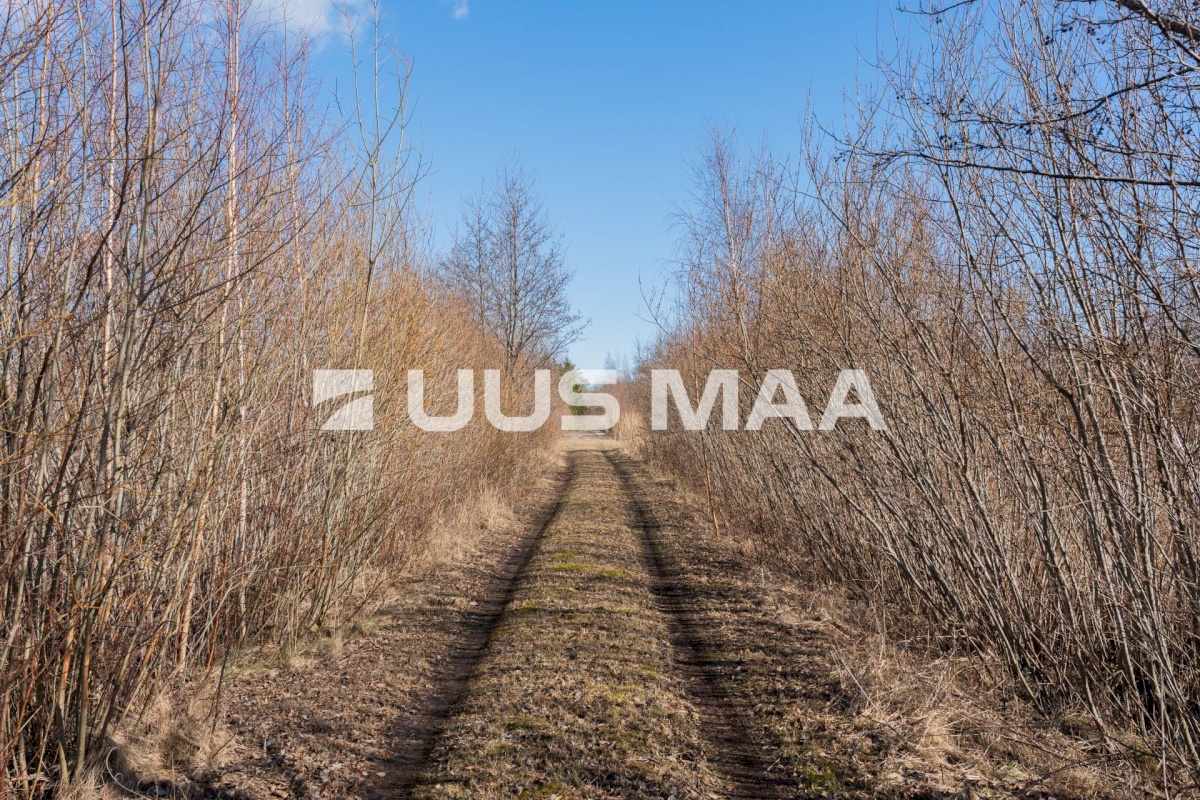 Pärnu linn, Peerni küla, Ankru