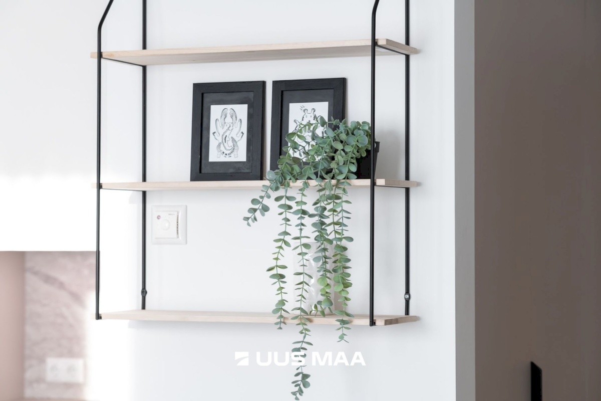 Tallinn, Lasnamäe linnaosa, Paekalda 22