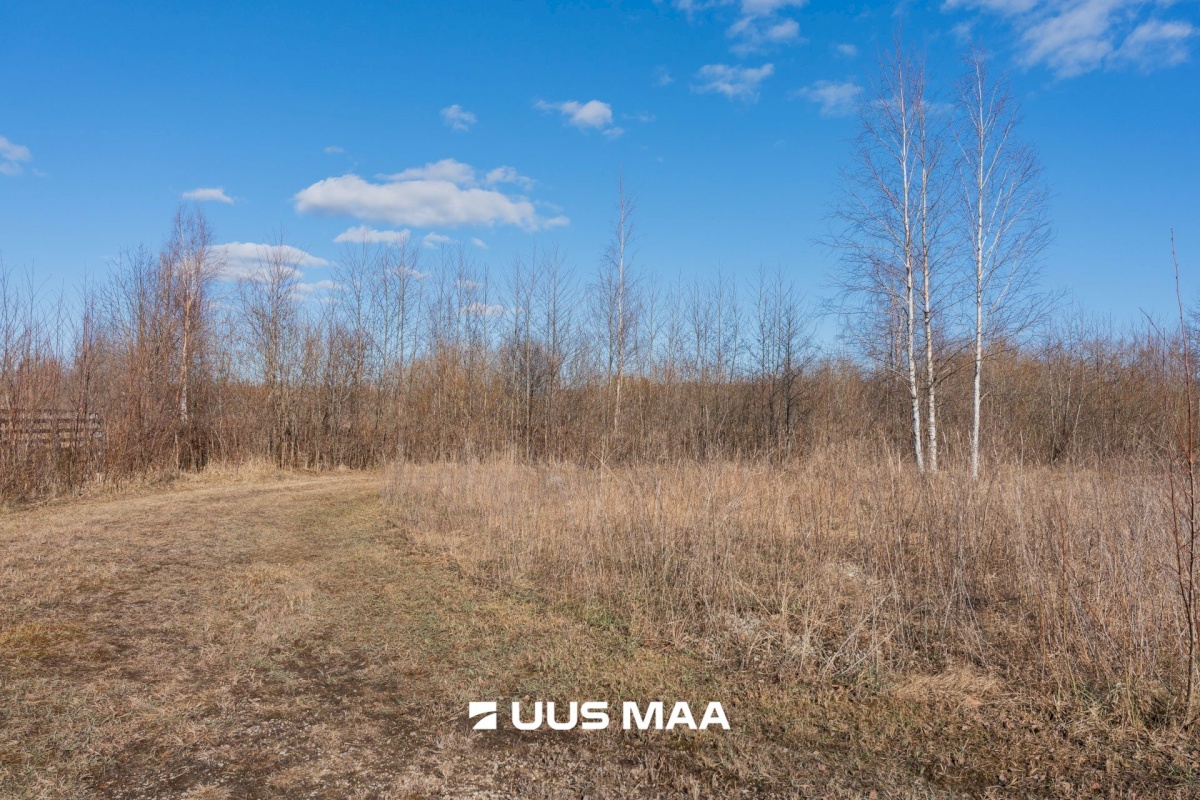 Pärnu linn, Peerni küla, Purje