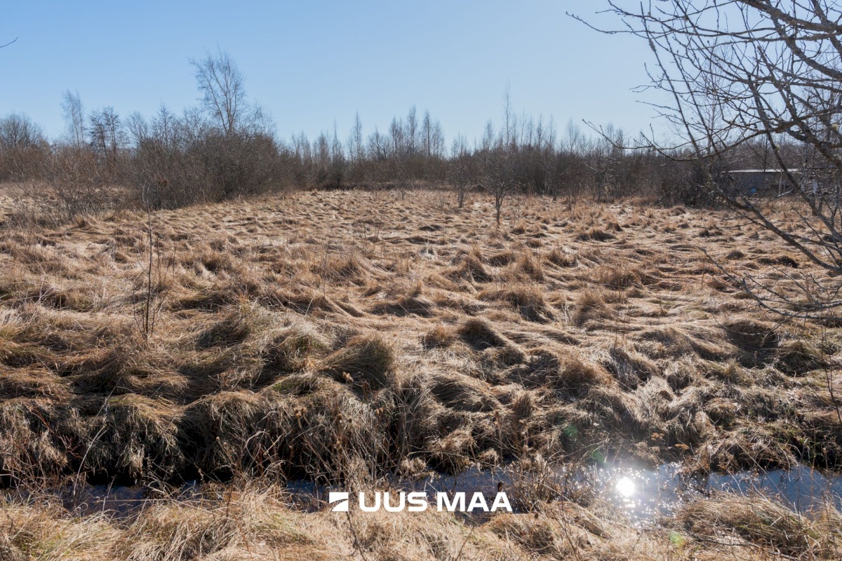 Pärnu linn, Peerni küla, Purje