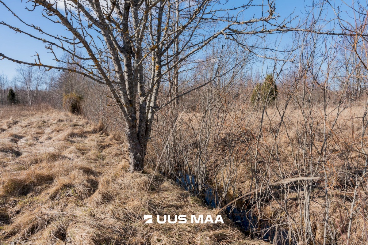 Pärnu linn, Peerni küla, Purje