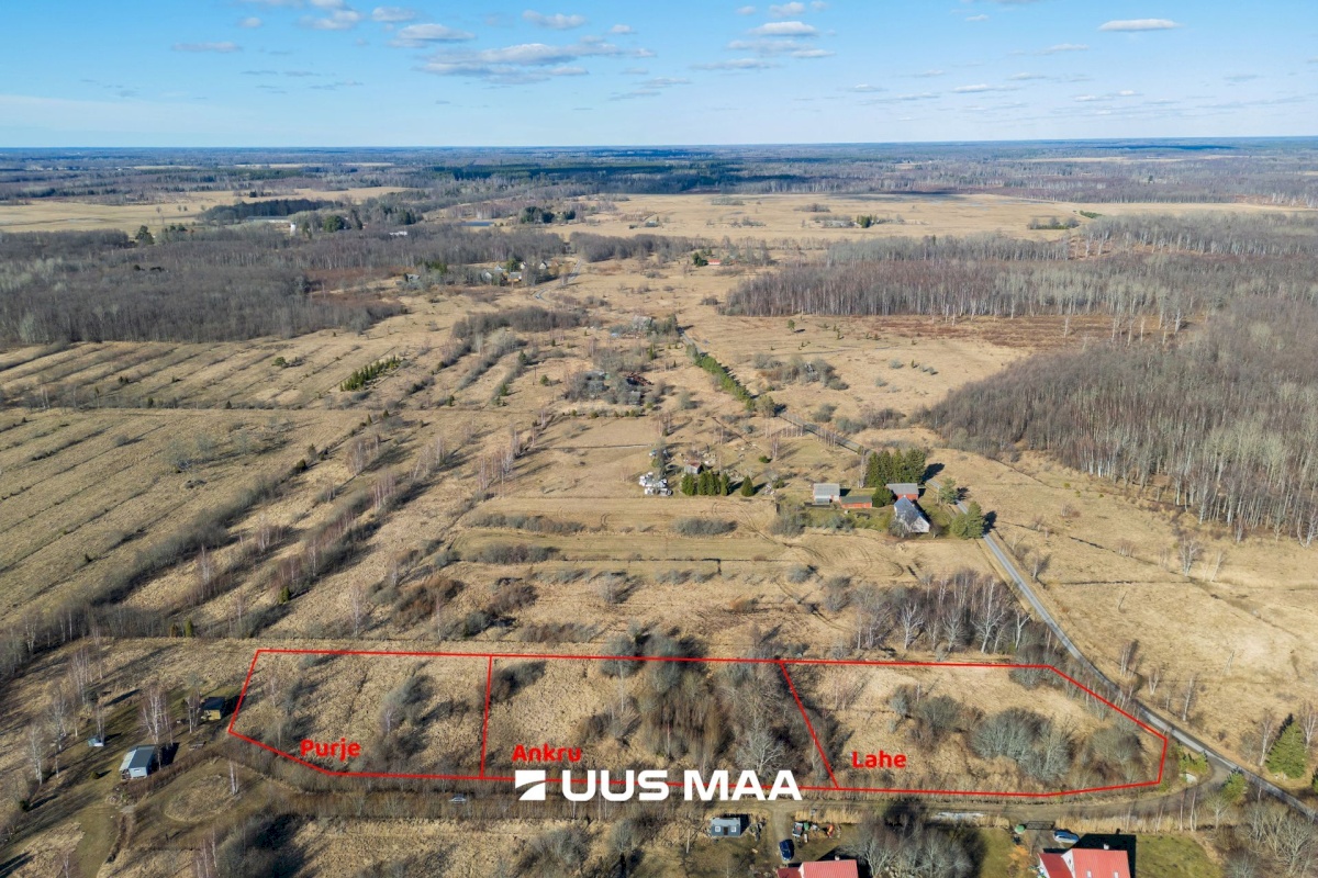 Pärnu linn, Peerni küla, Purje