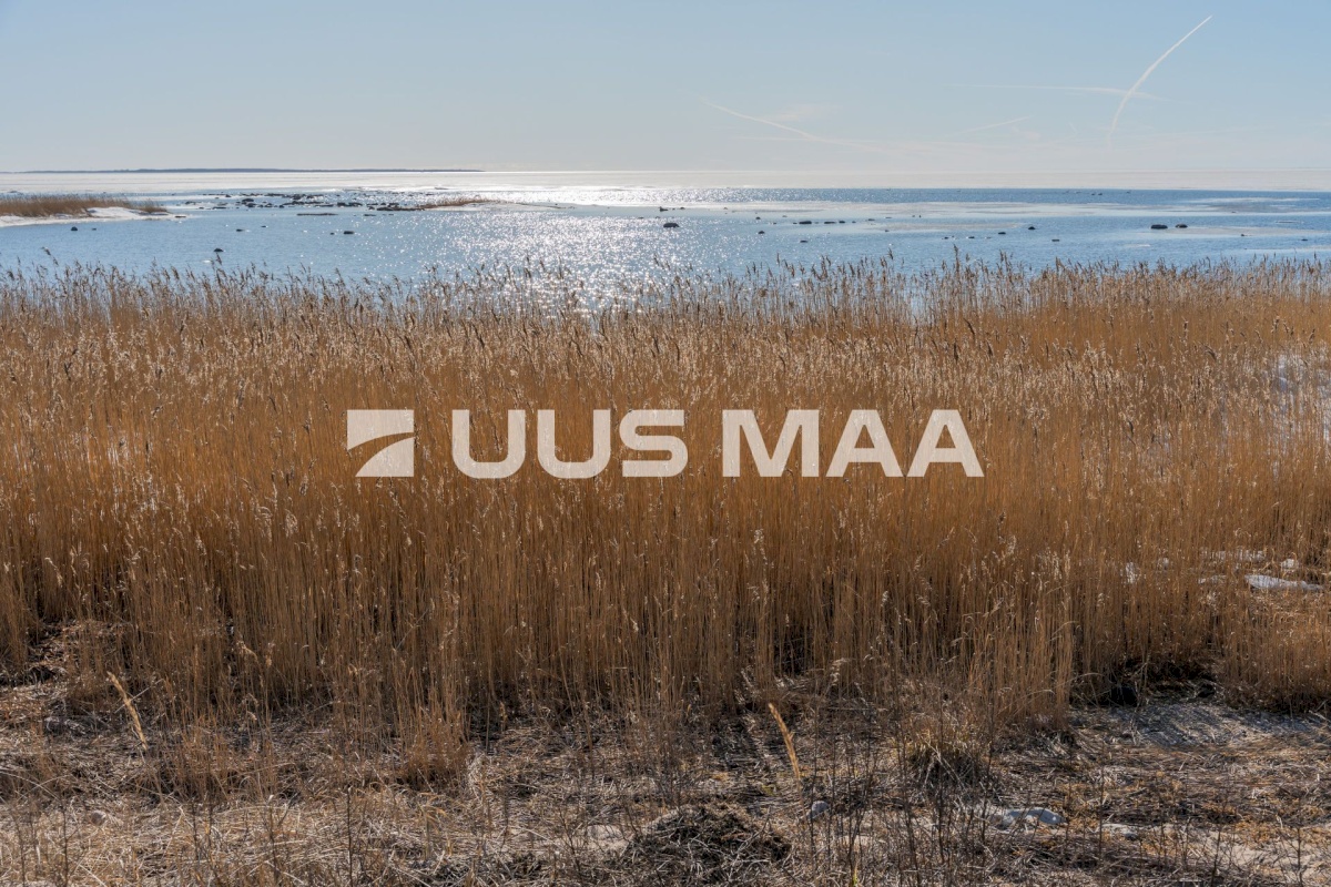 Pärnu linn, Peerni küla, Purje
