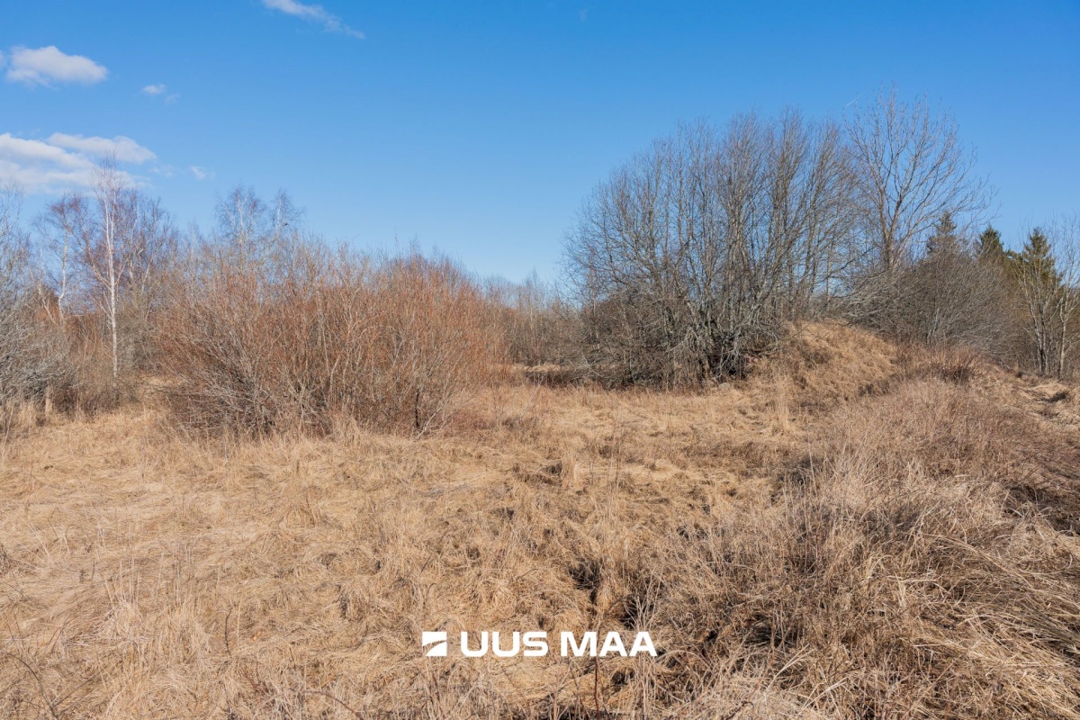 Pärnu linn, Peerni küla, Lahe