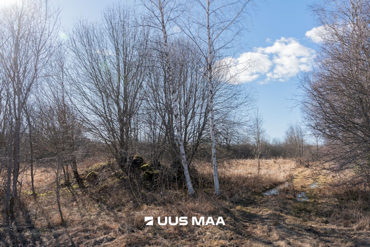 Pärnu linn, Peerni küla, Lahe