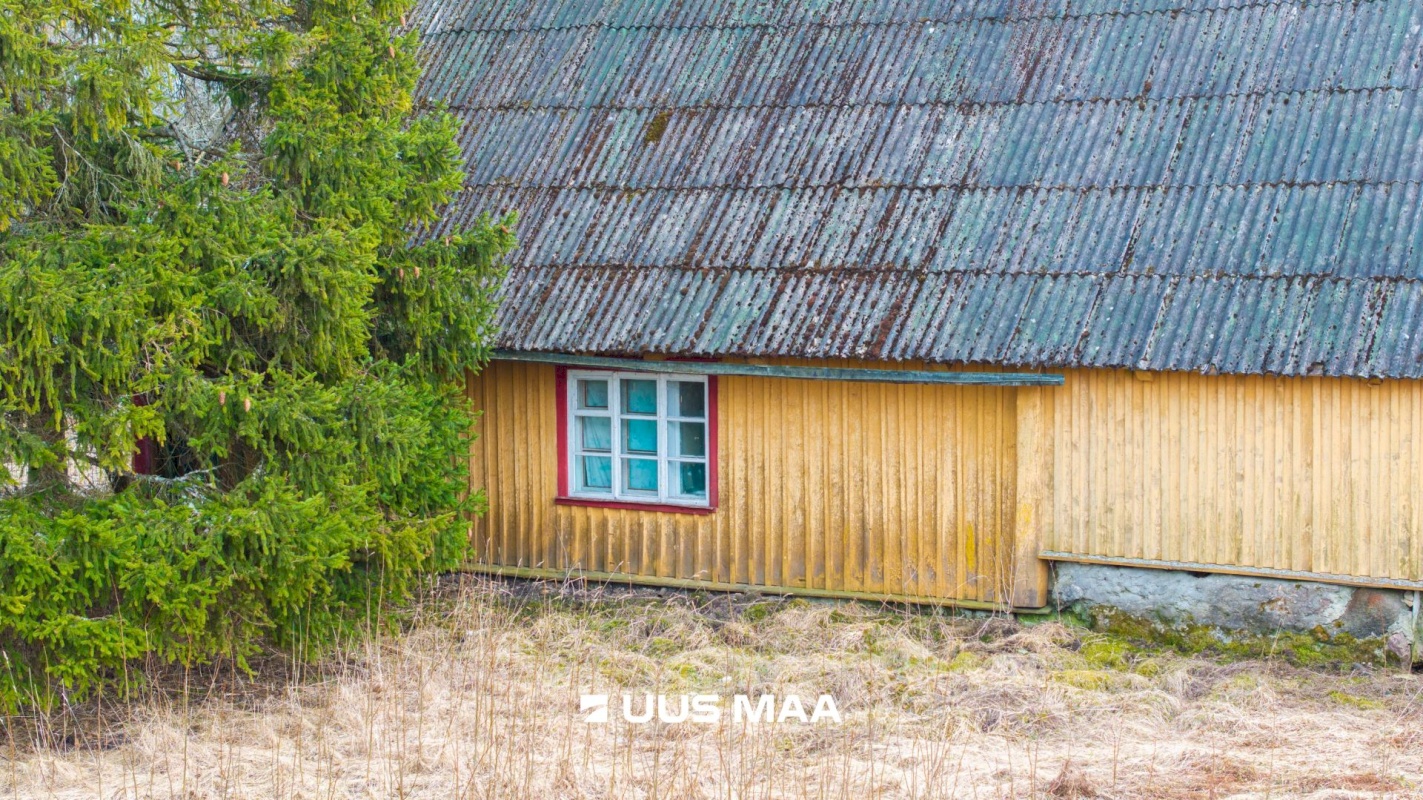 Lääne-Nigula vald, Üdruma küla, Kukemaa