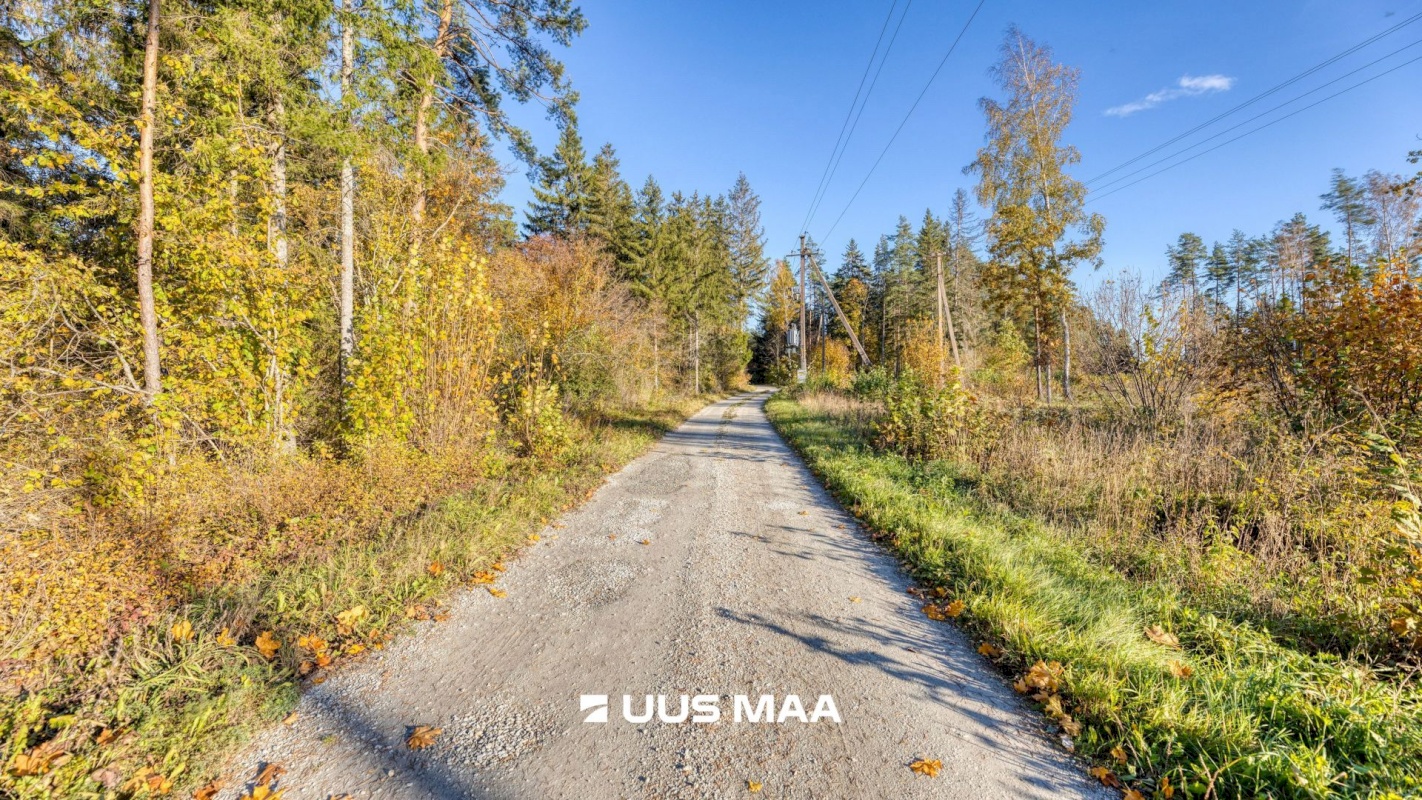 Lääne-Harju vald, Lehola küla, Pärna