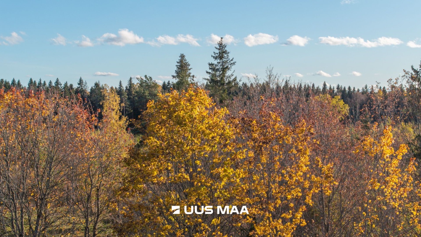 Lääne-Harju vald, Lehola küla, Pärna