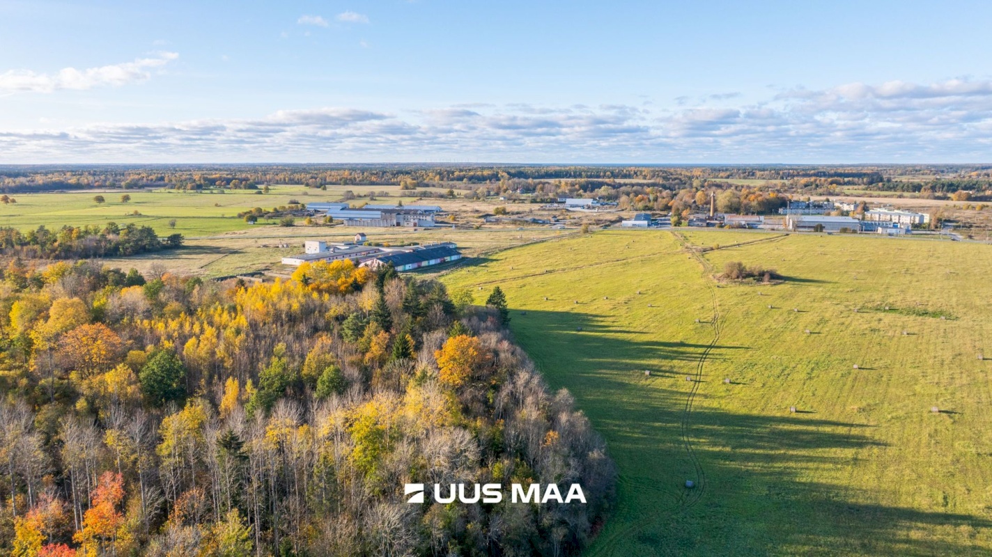 Lääne-Harju vald, Lehola küla, Pärna