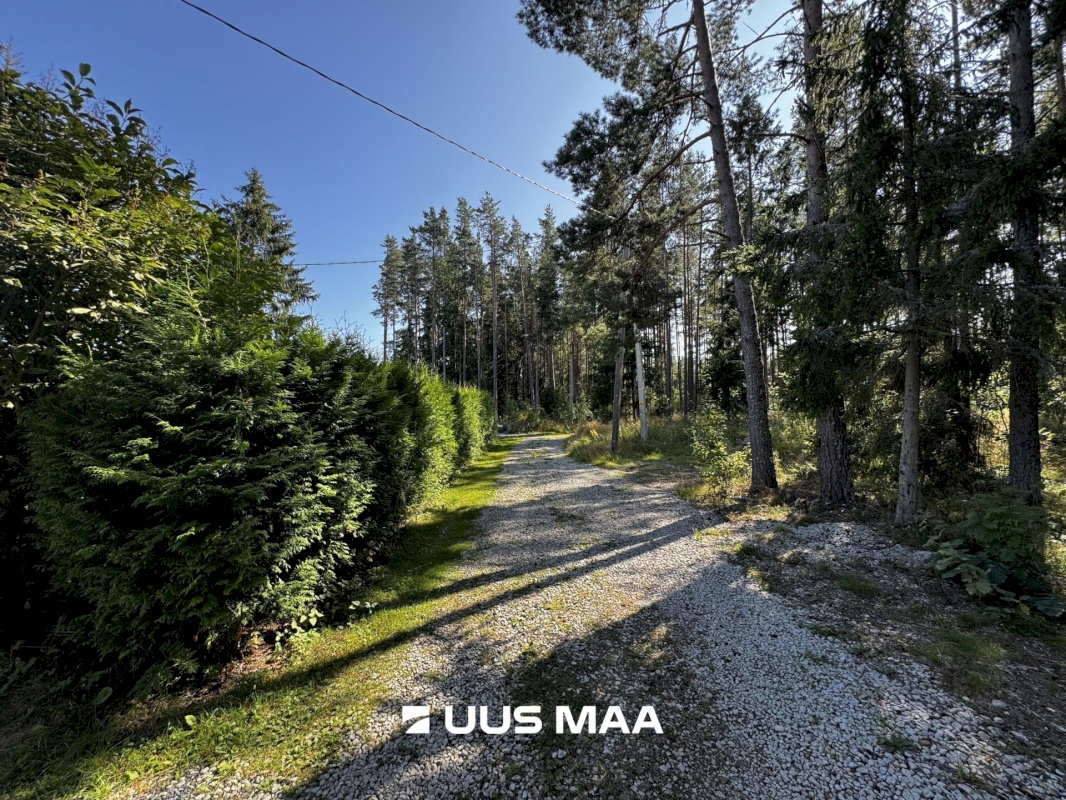 Haljala vald, Vainupea küla, Toominga