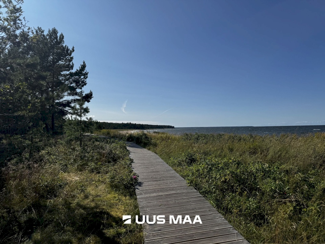 Haljala vald, Vainupea küla, Toominga