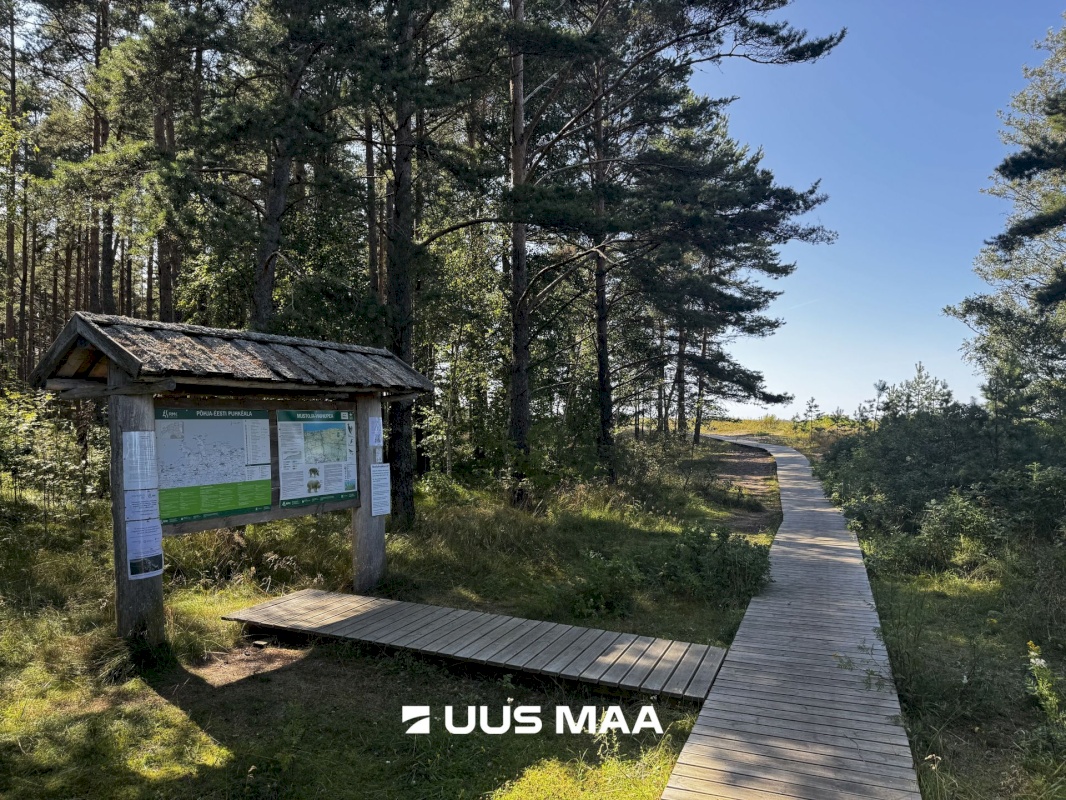 Haljala vald, Vainupea küla, Toominga