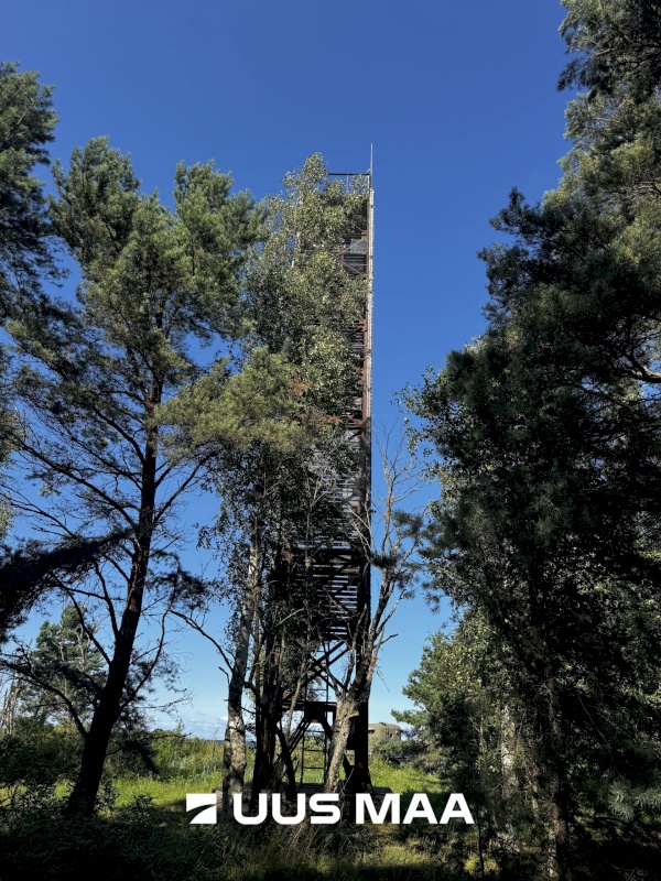 Haljala vald, Vainupea küla, Toominga