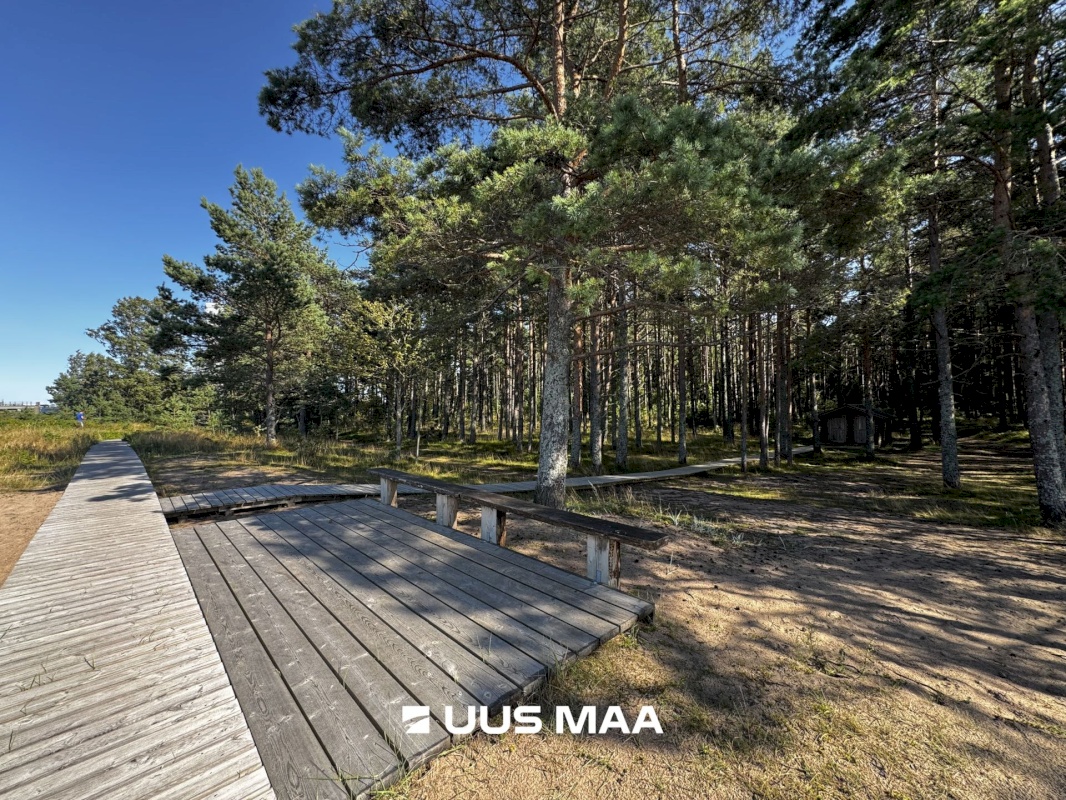 Haljala vald, Vainupea küla, Toominga