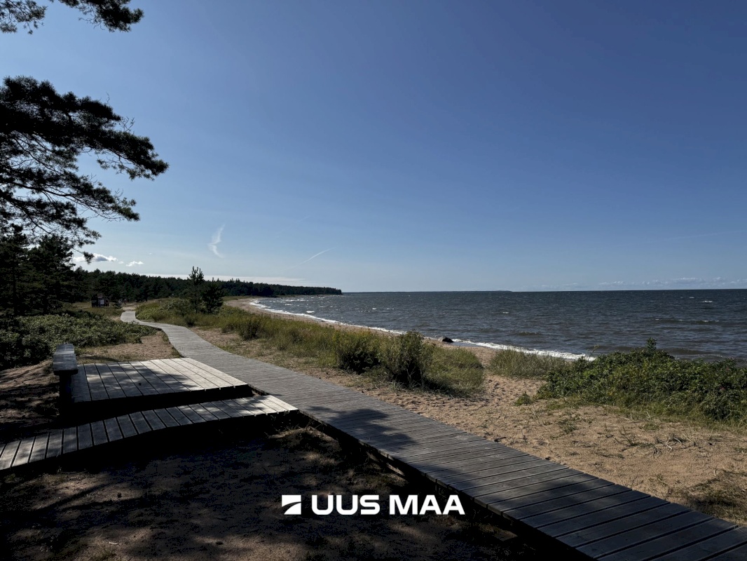 Haljala vald, Vainupea küla, Toominga