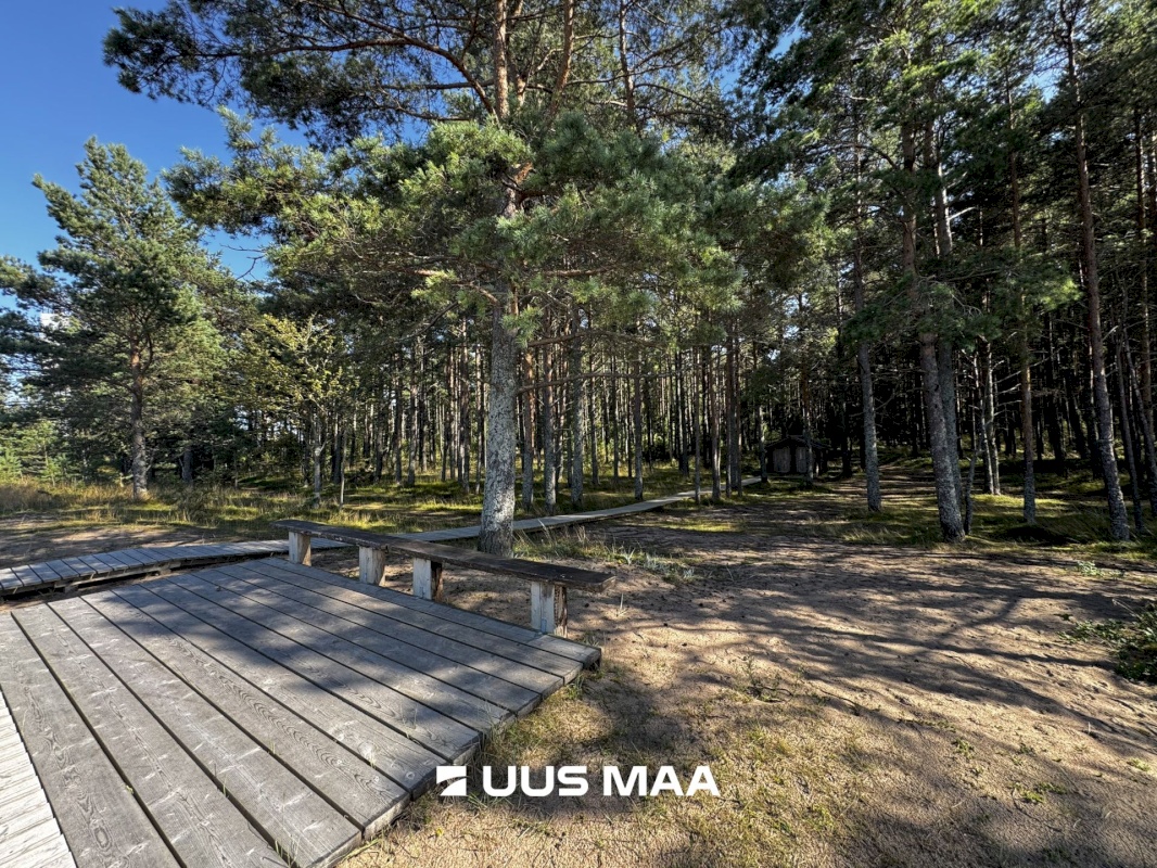 Haljala vald, Vainupea küla, Toominga